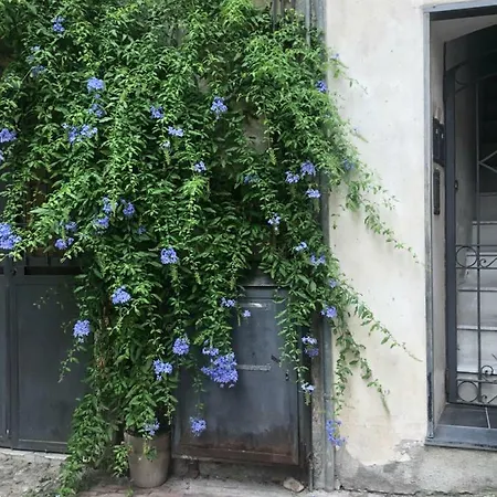 Apartment Casa Mille